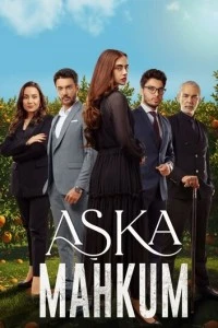Заключенный любви